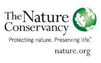 TNC Logo