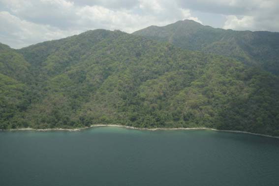 Lake  - Mahale NP shoreline