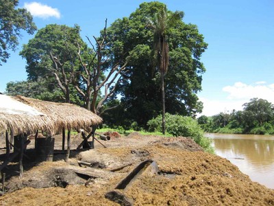 Palmoil industry near the lake