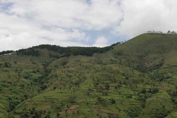 Agriculture Burundi